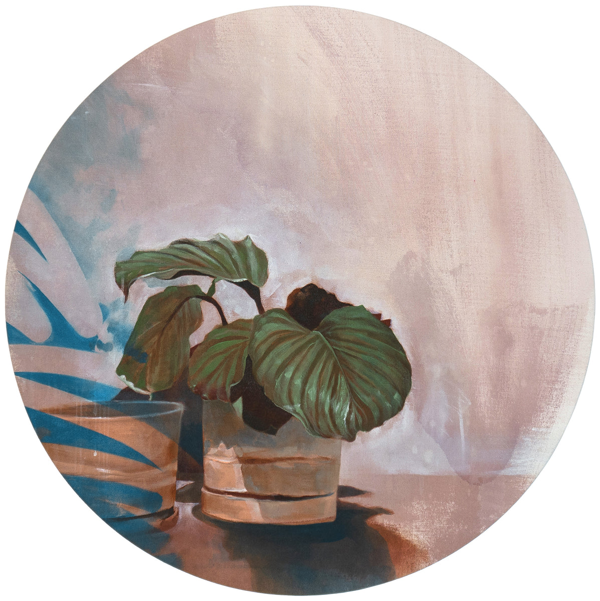 Calathea A – Good Grief Studio