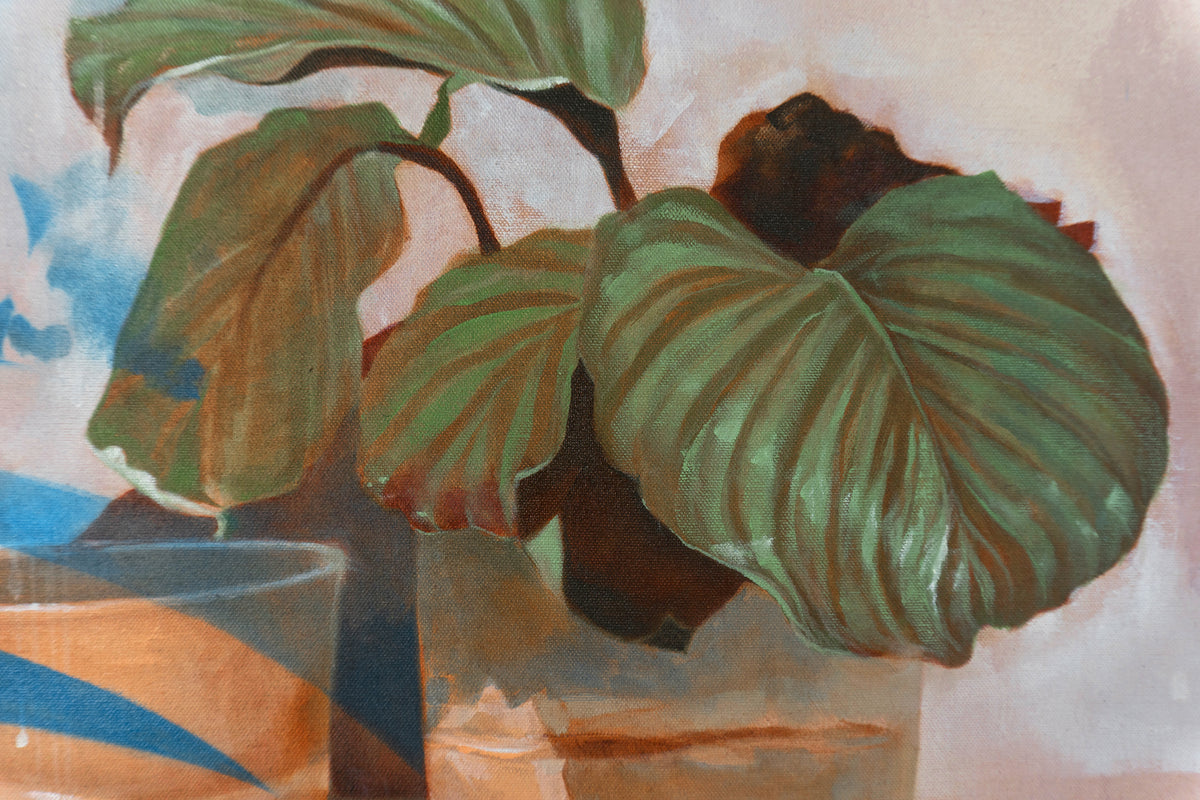 Calathea A – Good Grief Studio